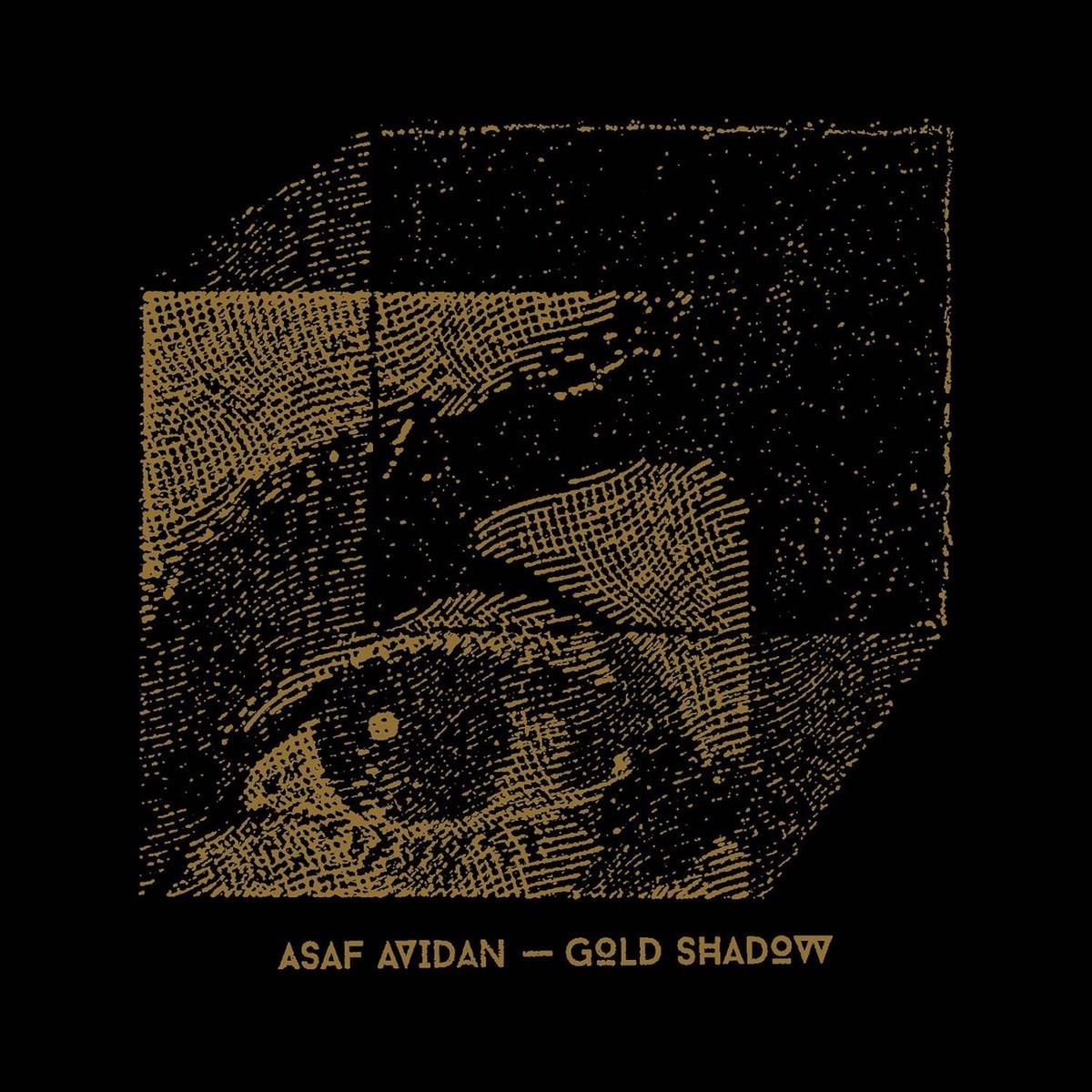 Afbeelding van Asaf Avidan - Gold Shadow