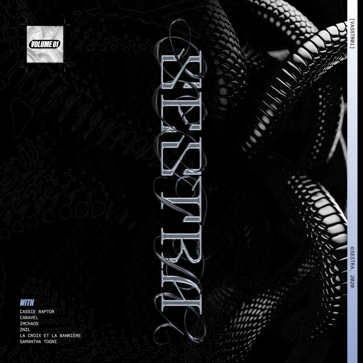 Various Artists - Vasstr01 - Vol. 1 (Cassie Raptor)