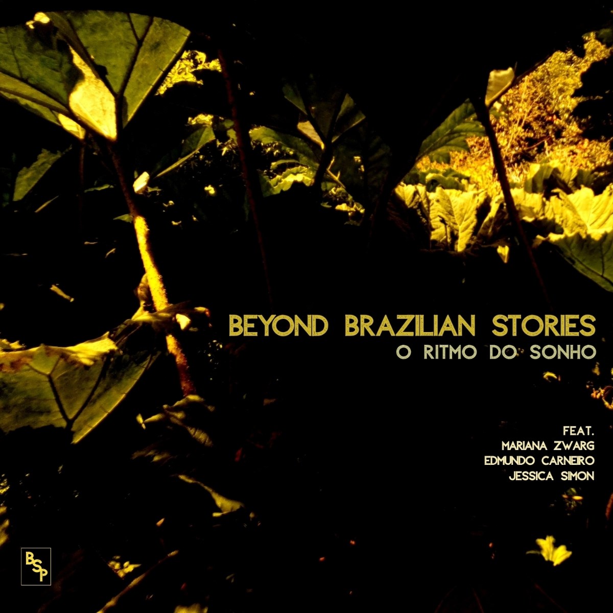Afbeelding van Beyond Brazilian Stories - O Ritmo Do Sonho