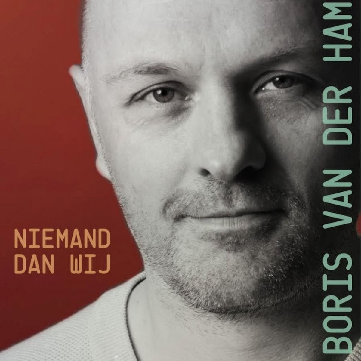Afbeelding van Boris Van Der Ham - Niemand Dan Wij