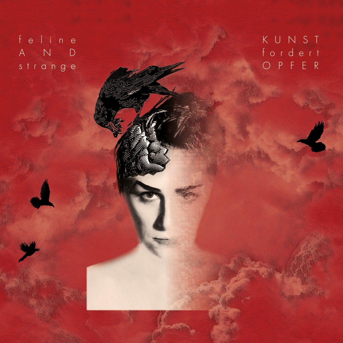 Feline & Strange - Kunst Fordert Opfer