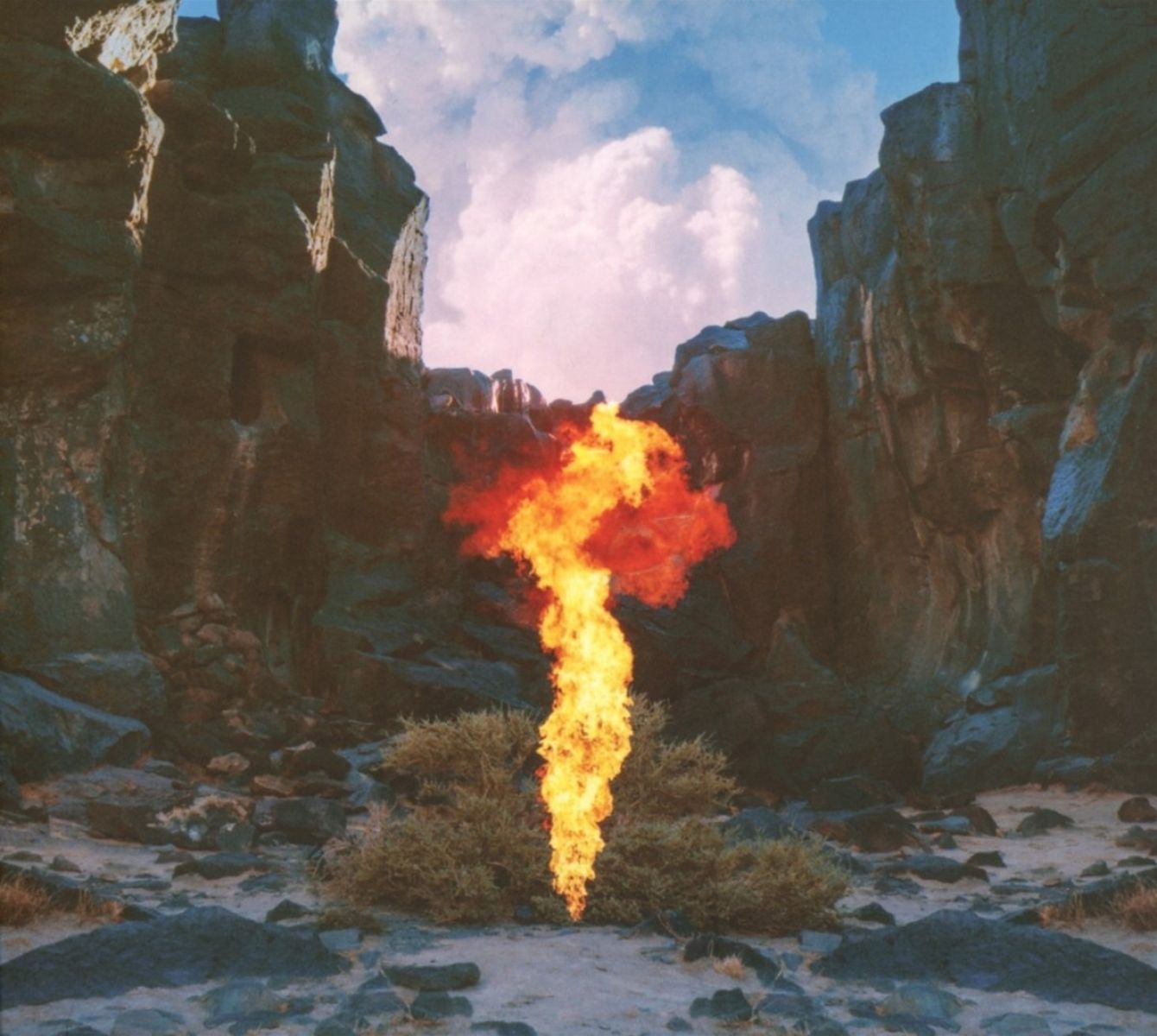 Bonobo - Migration