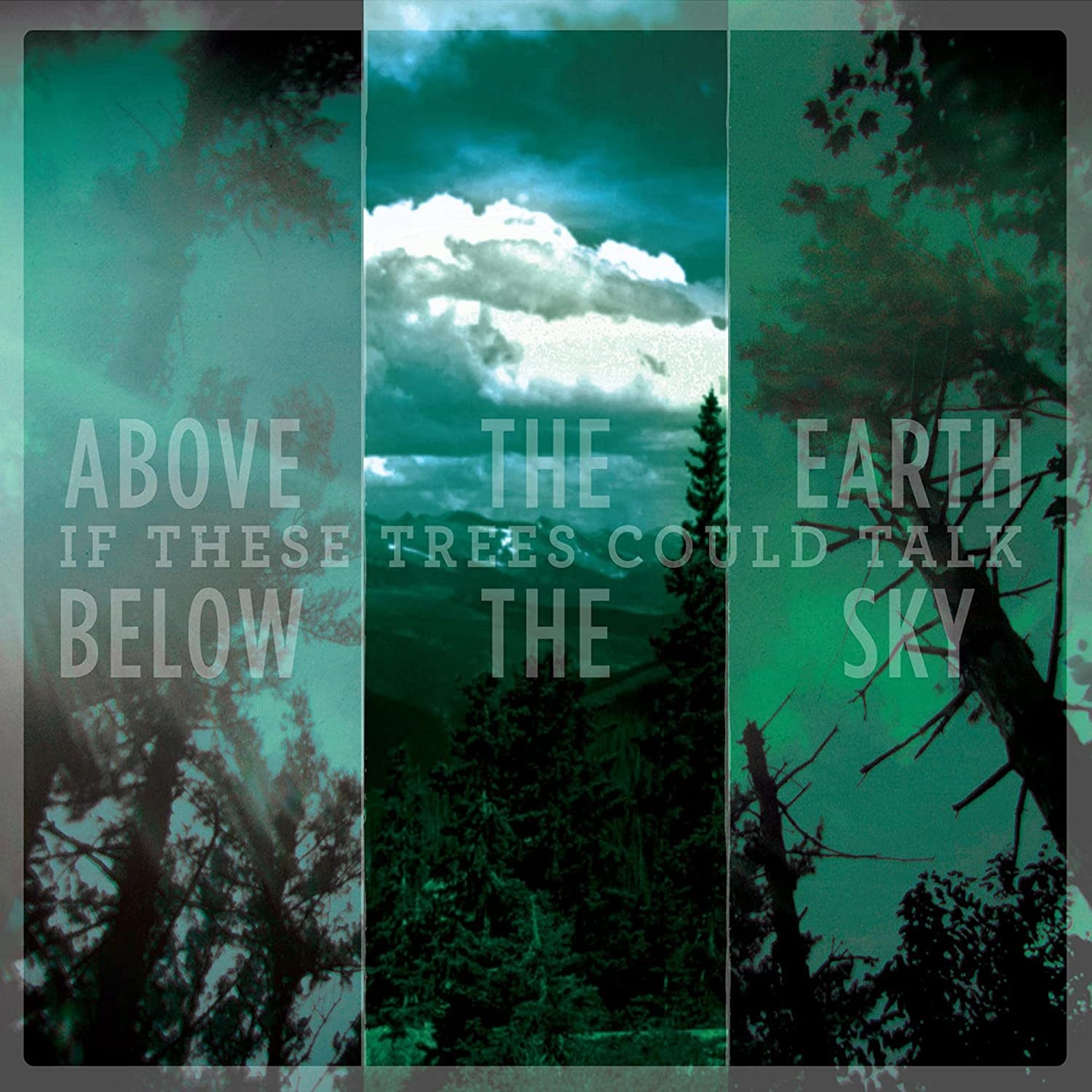 Afbeelding van If These Trees Could Talk - Above The Earth, Below The Sky