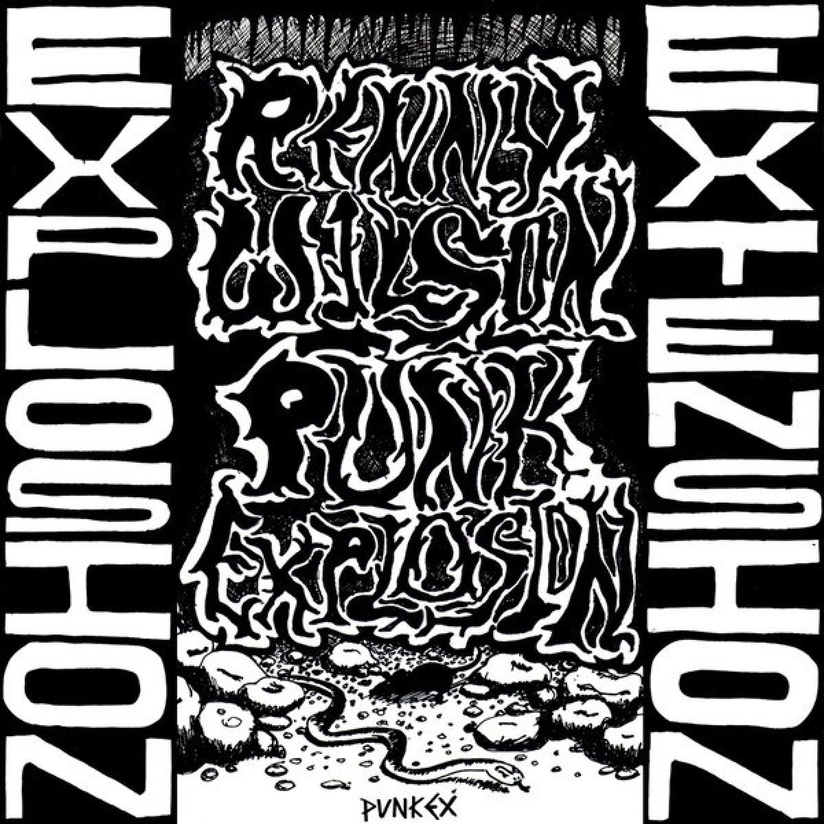Afbeelding van Renny Wilson - Punk Explosion/Extension