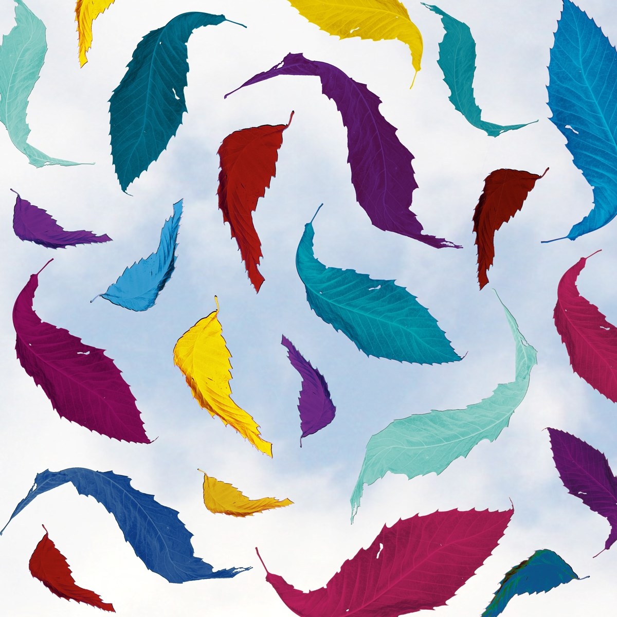 Afbeelding van New Order - True Faith Remix