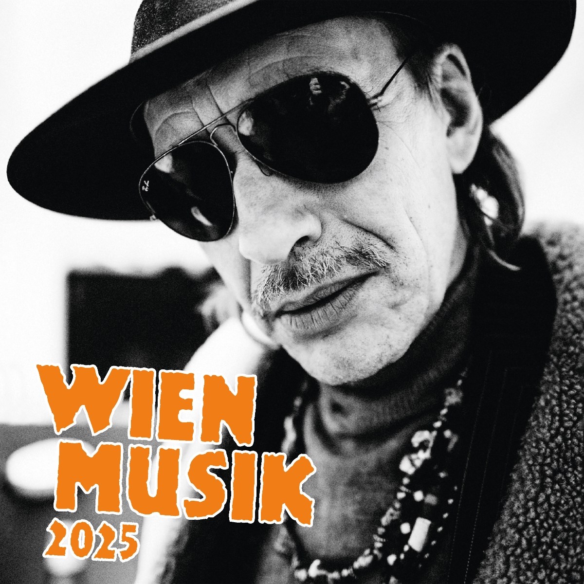 Afbeelding van Various Artists - Wien Musik 2025