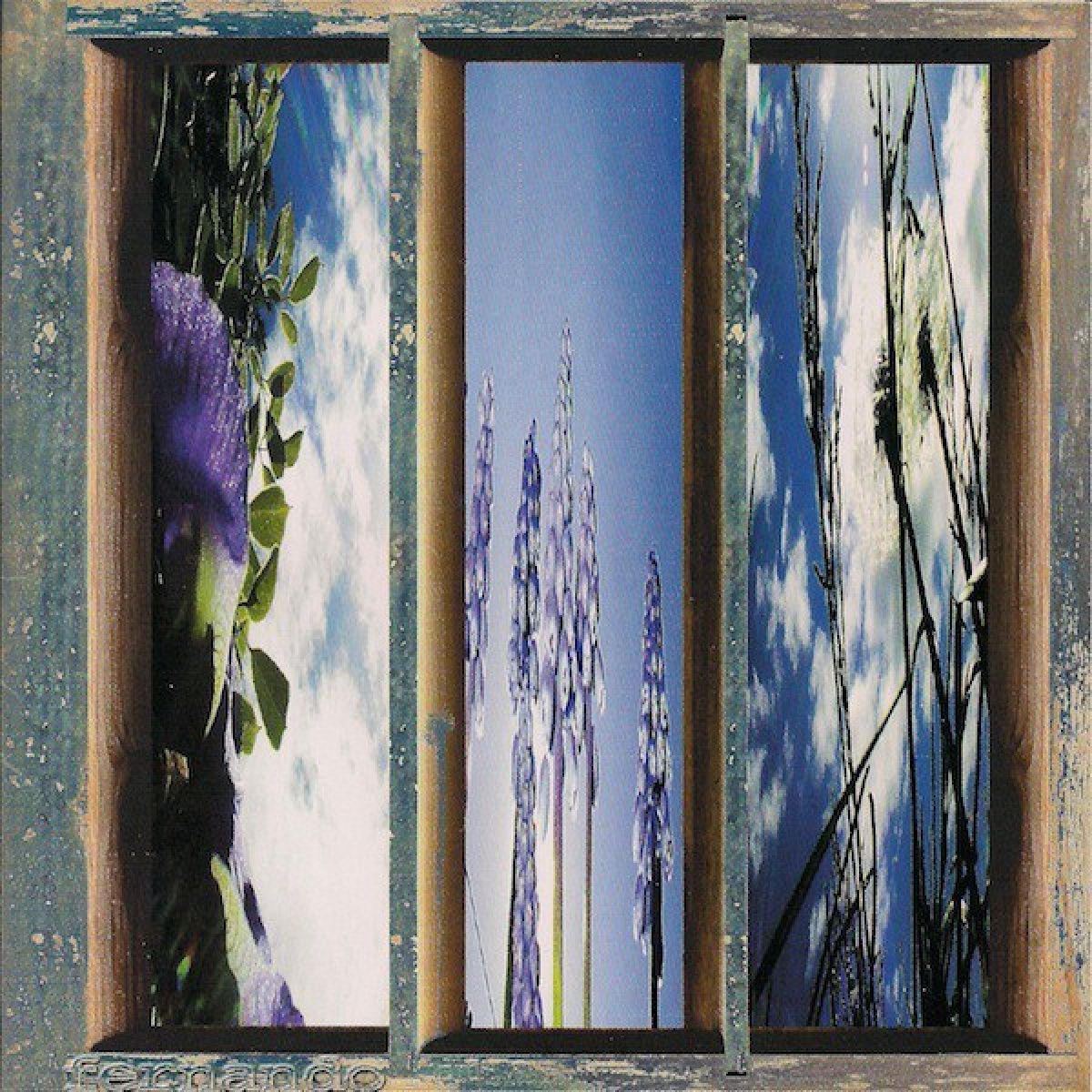 Afbeelding van Fernando Viciconte - Dreams Of The Sun And Sky