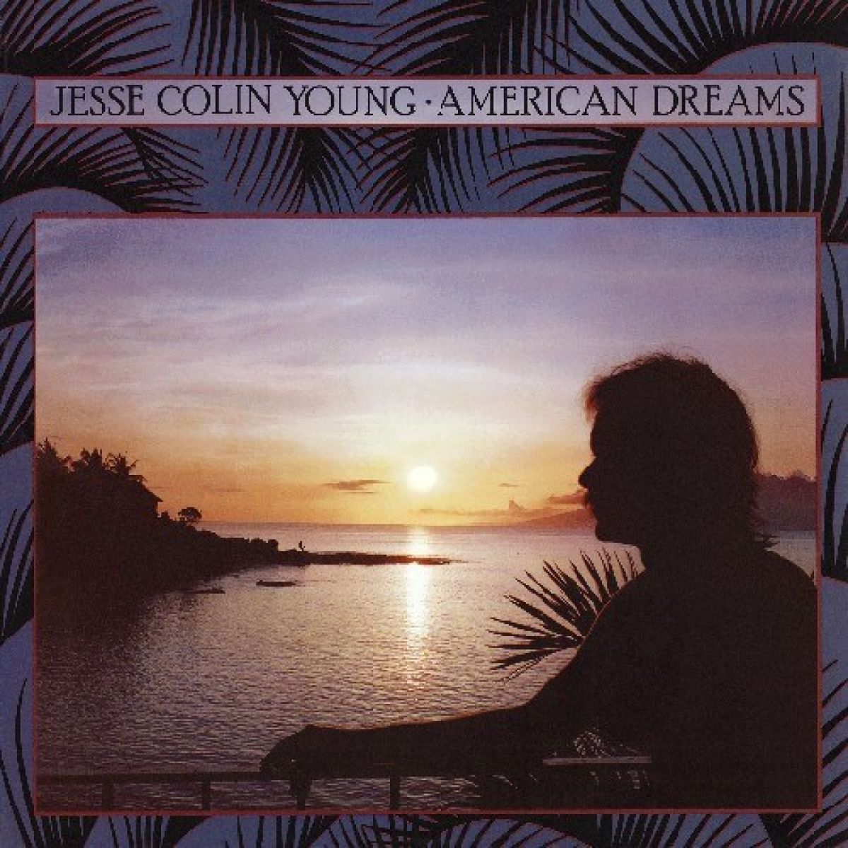 Afbeelding van Jesse Colin Young - American Dreams