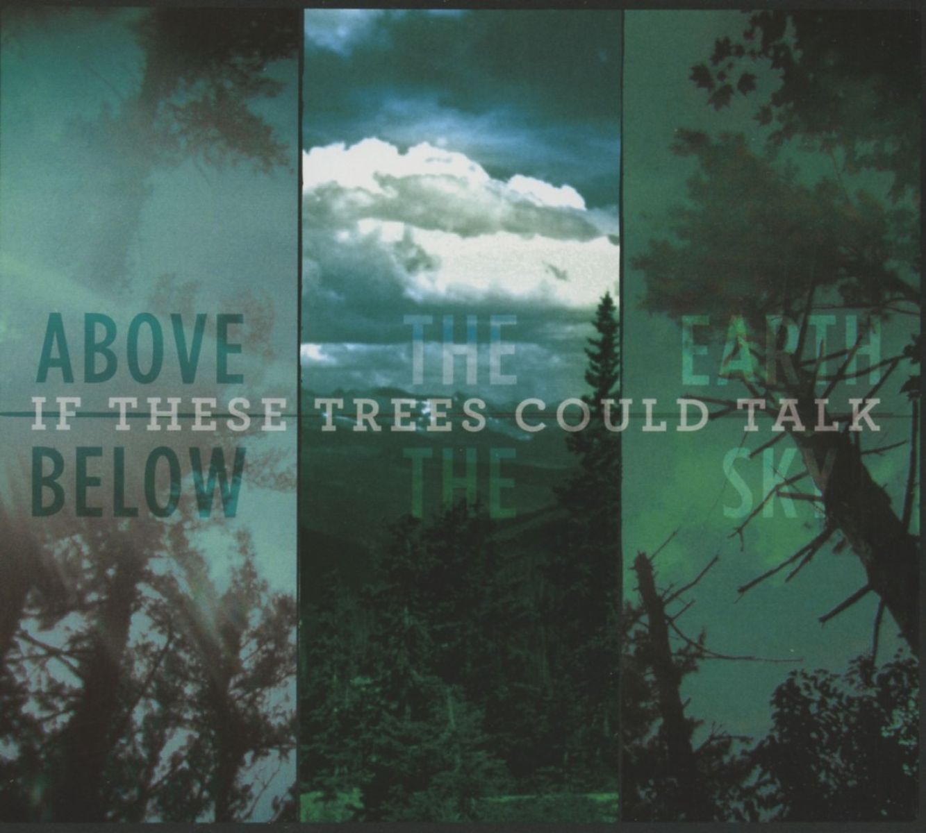 Afbeelding van If These Trees Could Talk - Above The Earth, Below The Sky