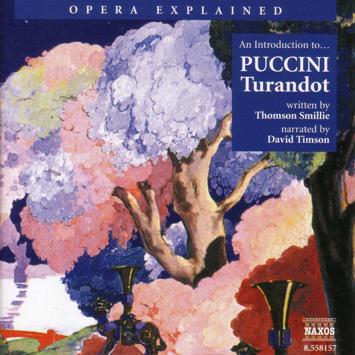 Afbeelding van Various Artists - Opera Explained: Turandot