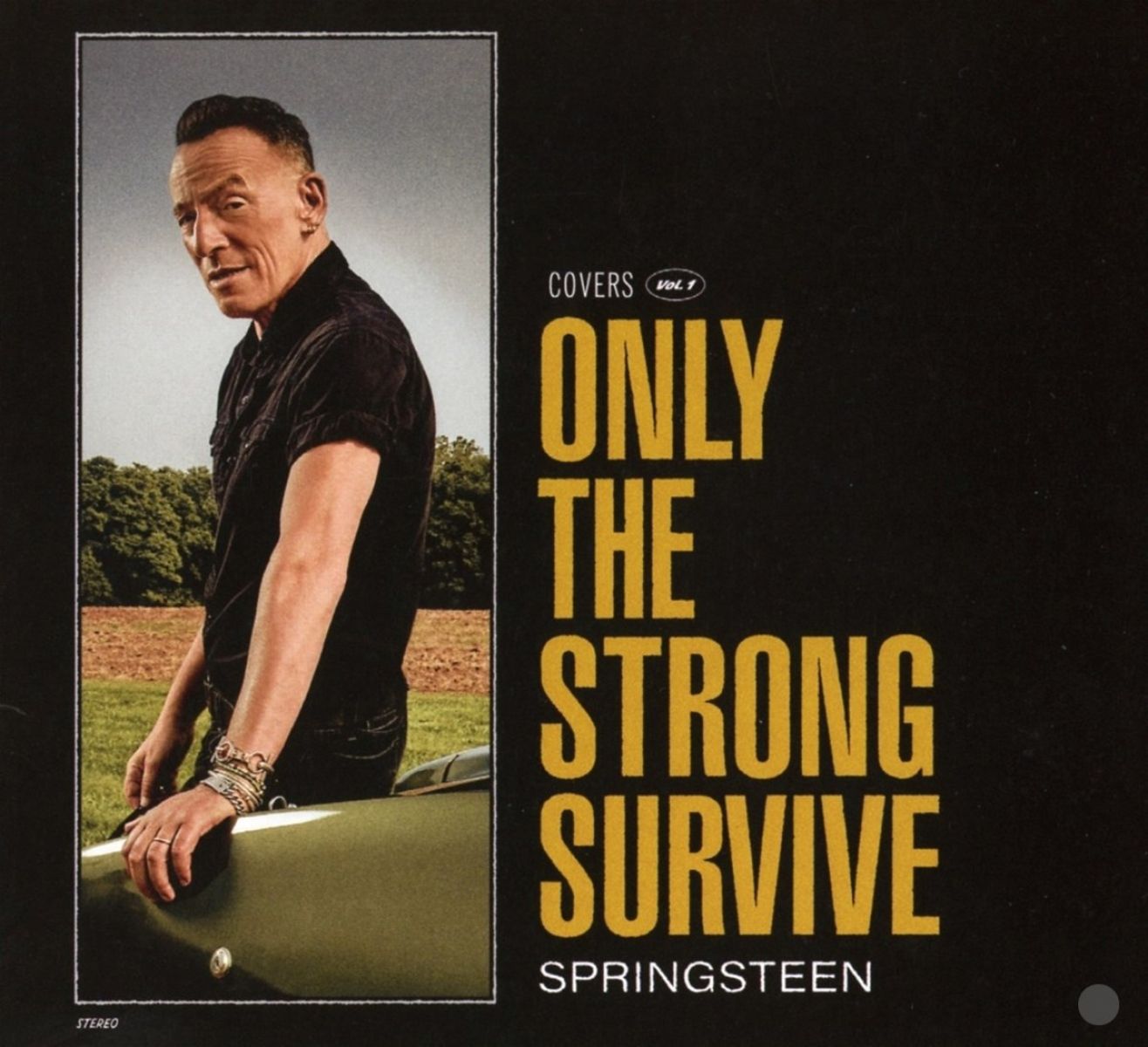 Afbeelding van Bruce Springsteen - Only The Strong Survive (Covers Vol. 1)