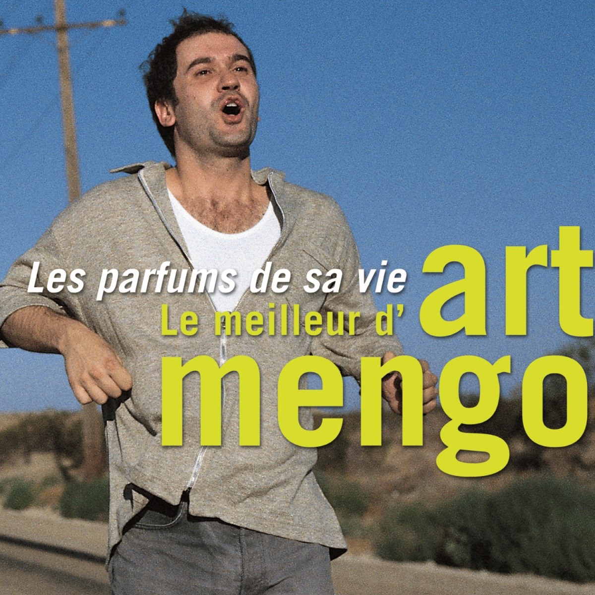 Afbeelding van Les Parfums De Sa Vie - Le Meilleur D'art Mengo