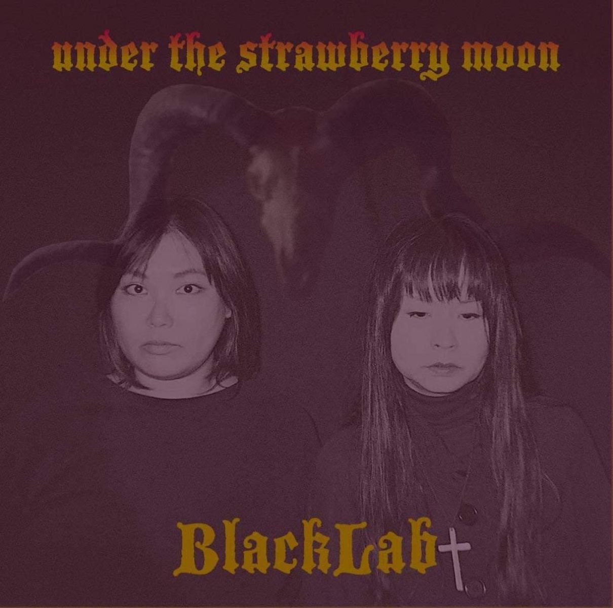 Afbeelding van Blacklab - Under The Strawberry Moon