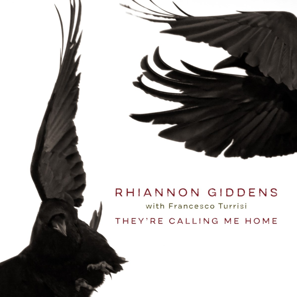 Afbeelding van Rhiannon Giddens - They're Calling Me Home