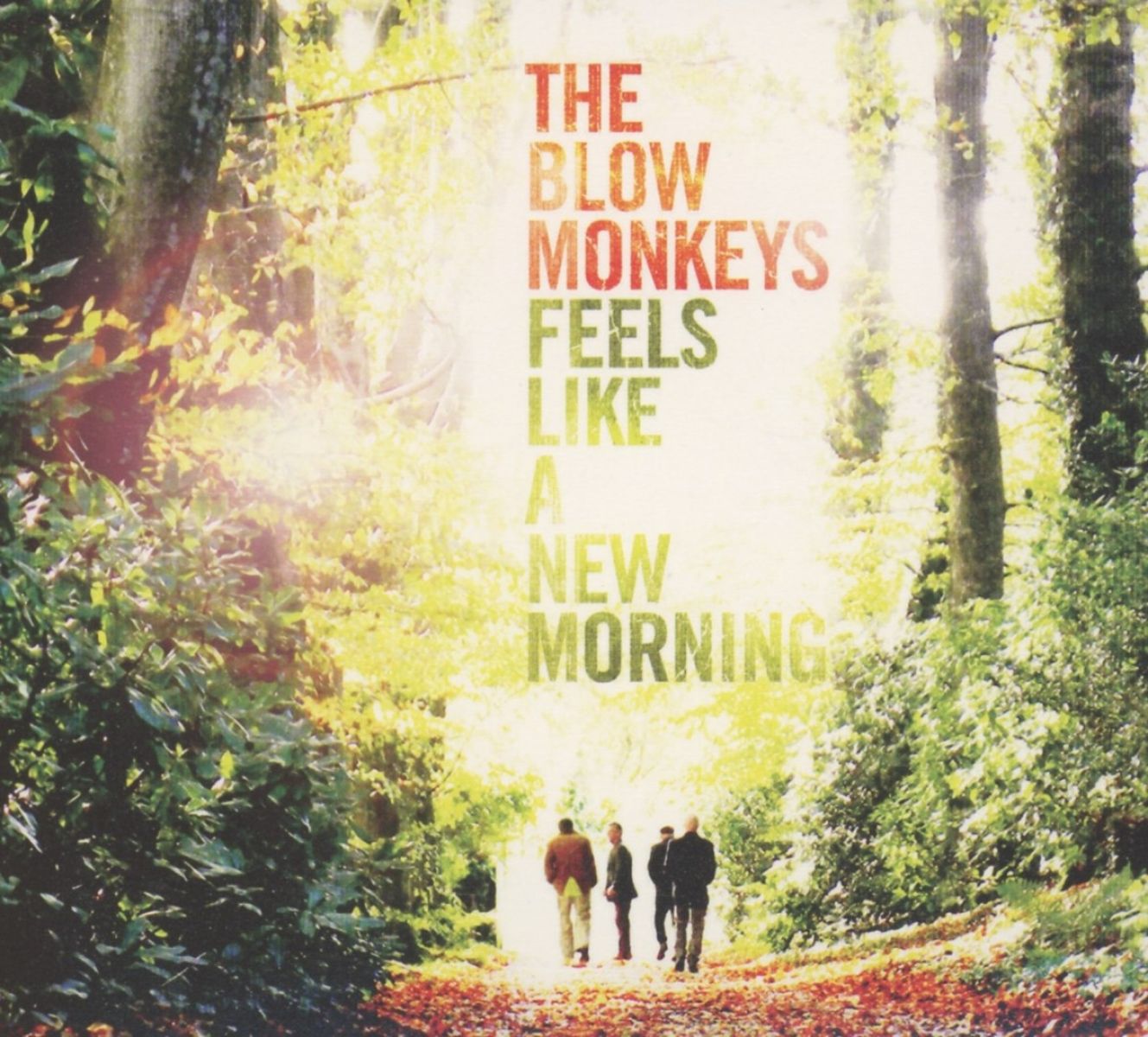 Afbeelding van The Blow Monkeys - Feels Like A New Morning