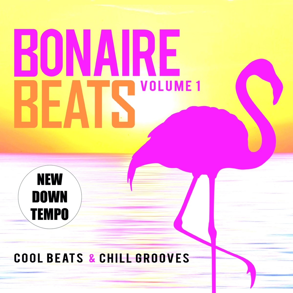 Afbeelding van Various Artists - Bonaire Beats Volume 1