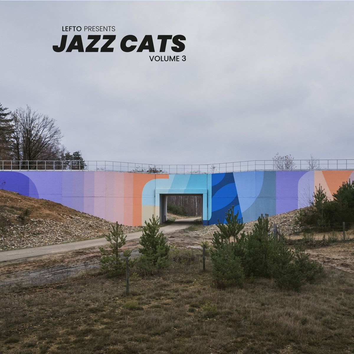Afbeelding van Various Artists - Lefto Presents Jazz Cats Volume 3