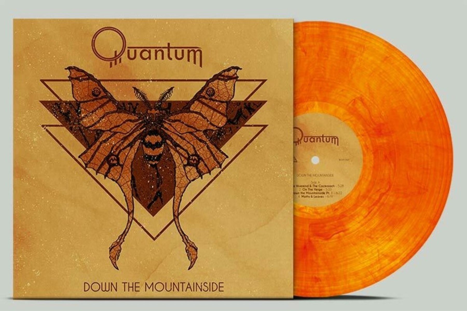 Afbeelding van Quantum - Down The Mountainside