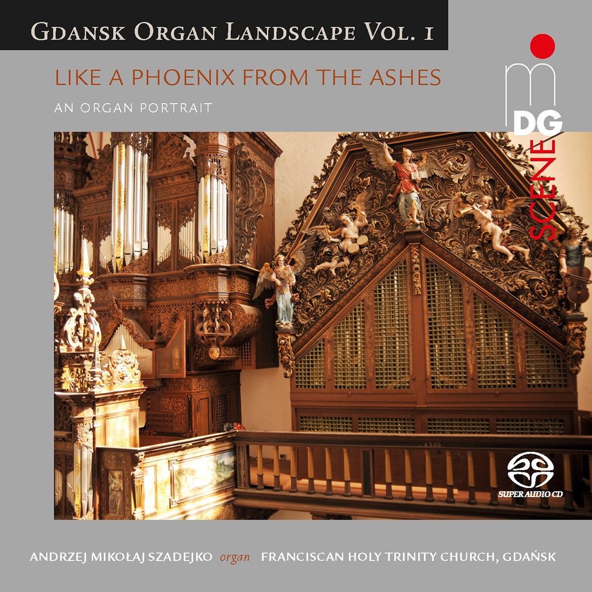 Afbeelding van Andrzej Mikolaj Szadejko - Organ Landscape Gdansk Vol.1