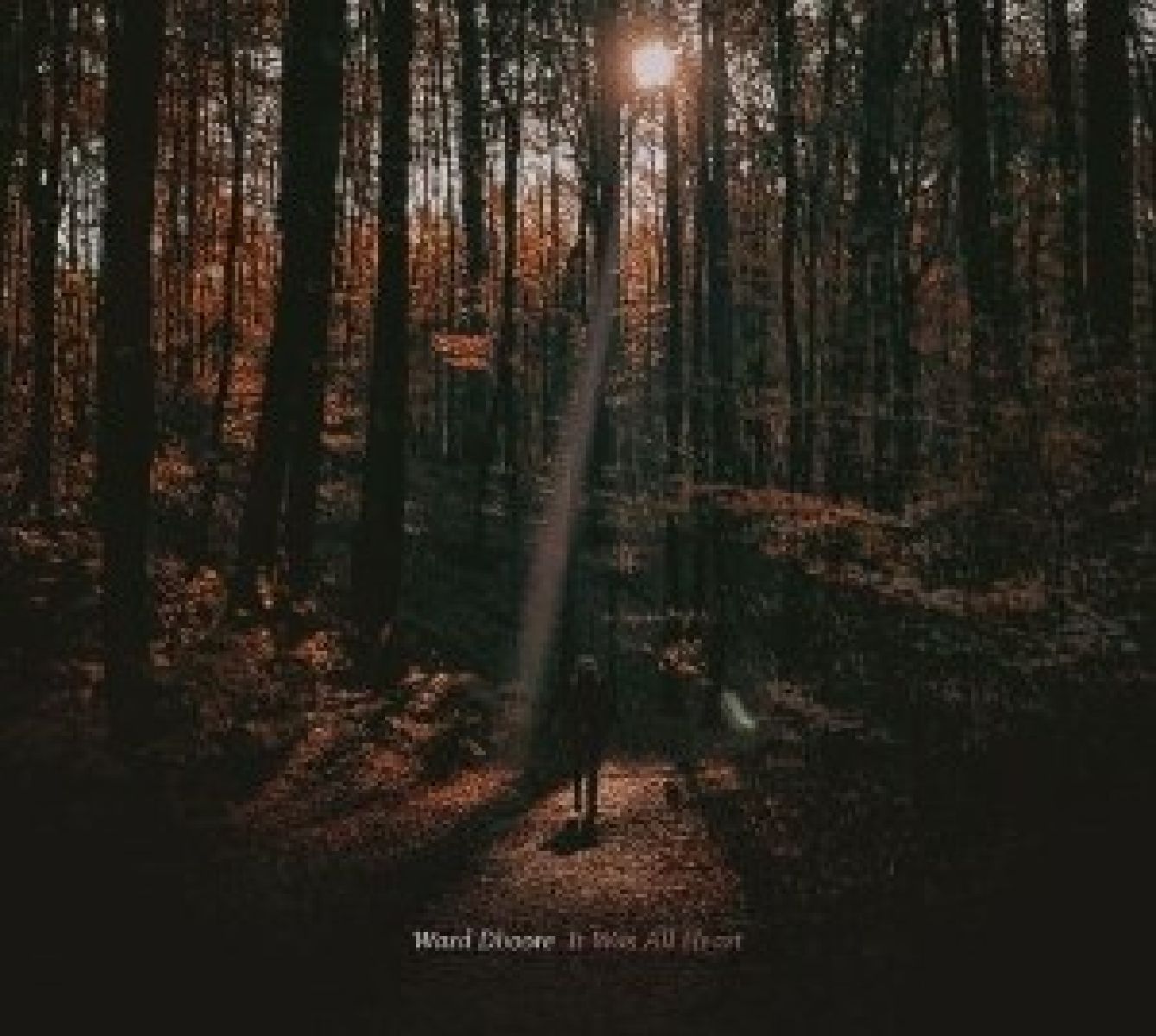 Afbeelding van Ward Dhoore - It Was All Heart