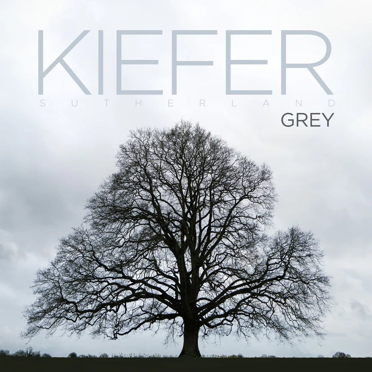 Afbeelding van Kiefer Sutherland - Grey