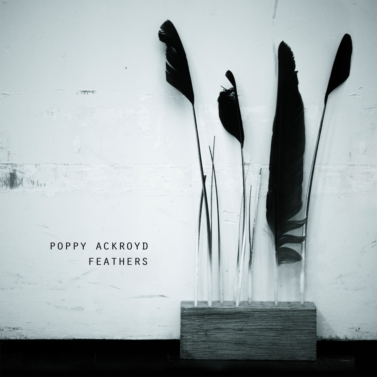 Afbeelding van Poppy Ackroyd - Feathers