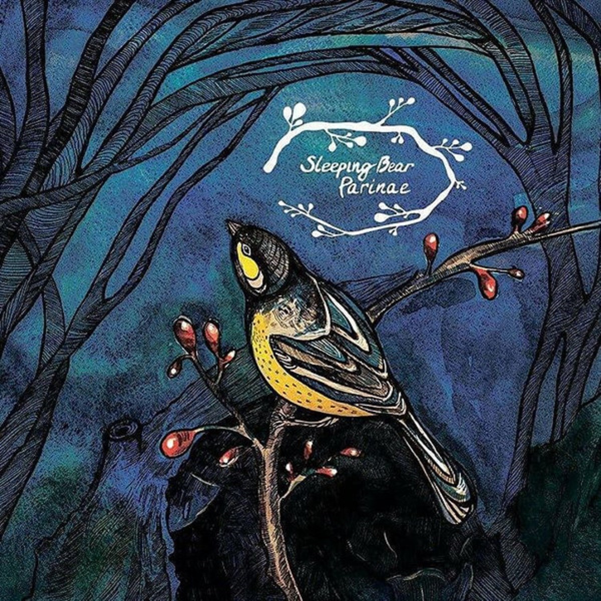 Afbeelding van Sleeping Bear - Parinae