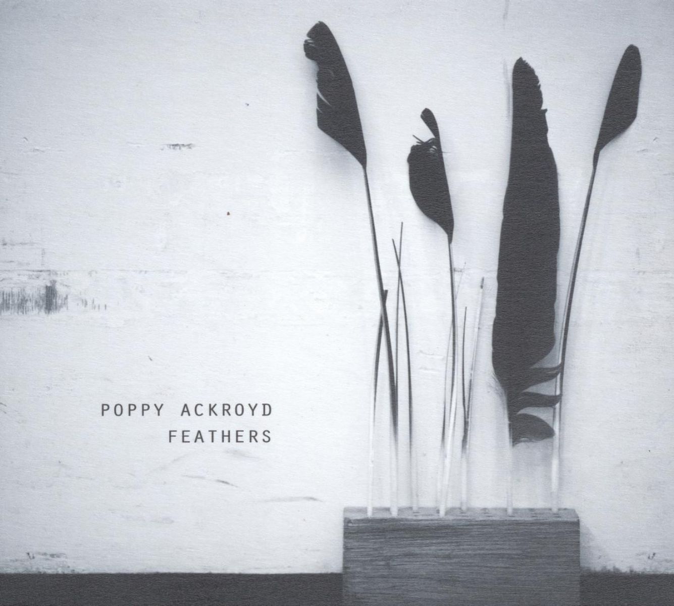 Afbeelding van Poppy Ackroyd - Feathers