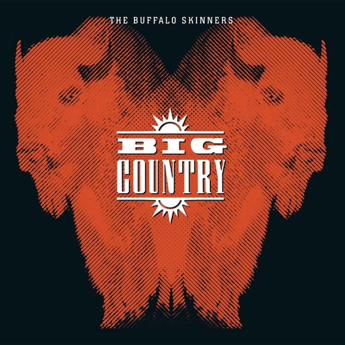 Afbeelding van Big Country - The Buffalo Skinners