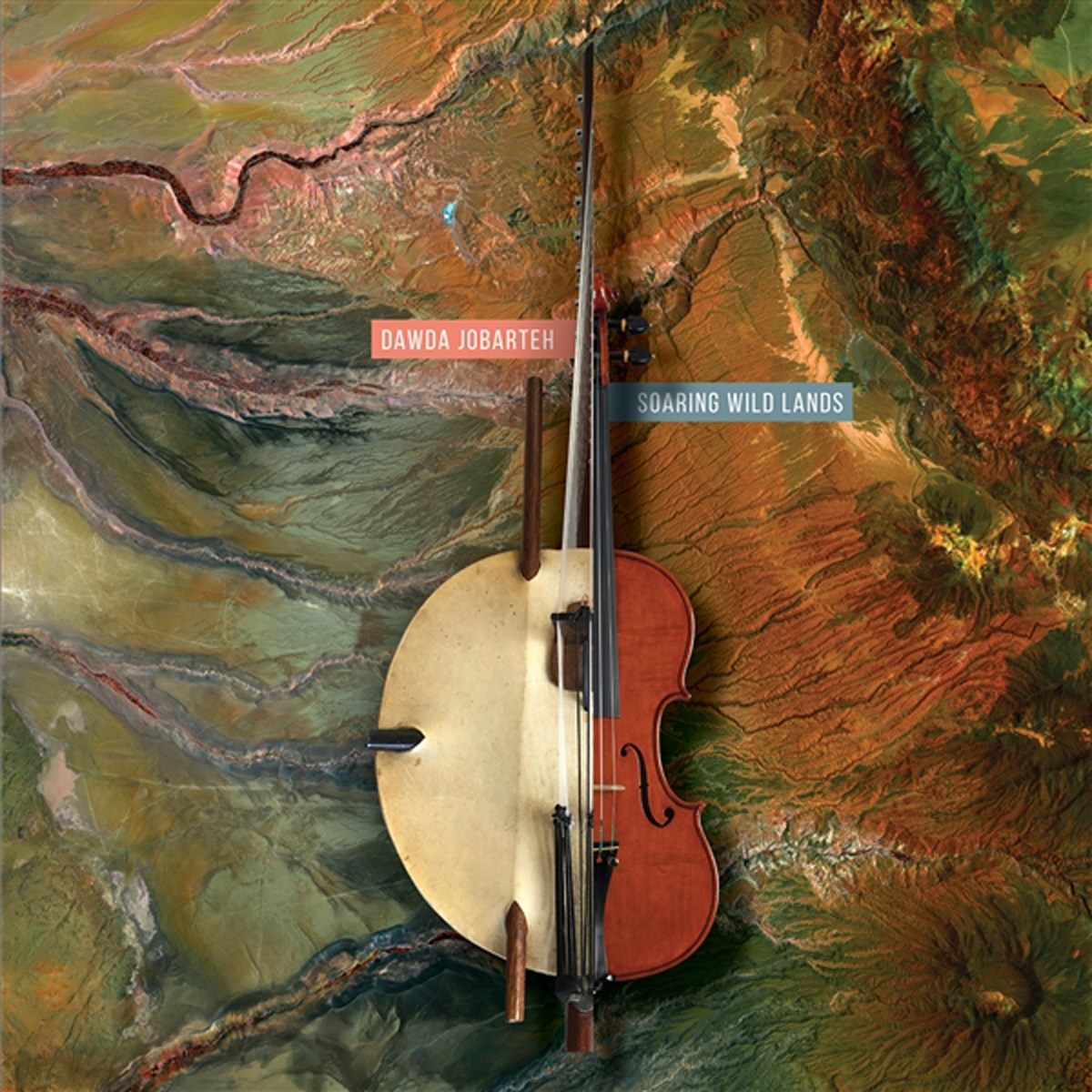 Afbeelding van Dawda Jobarteh - Soaring Wild Lands