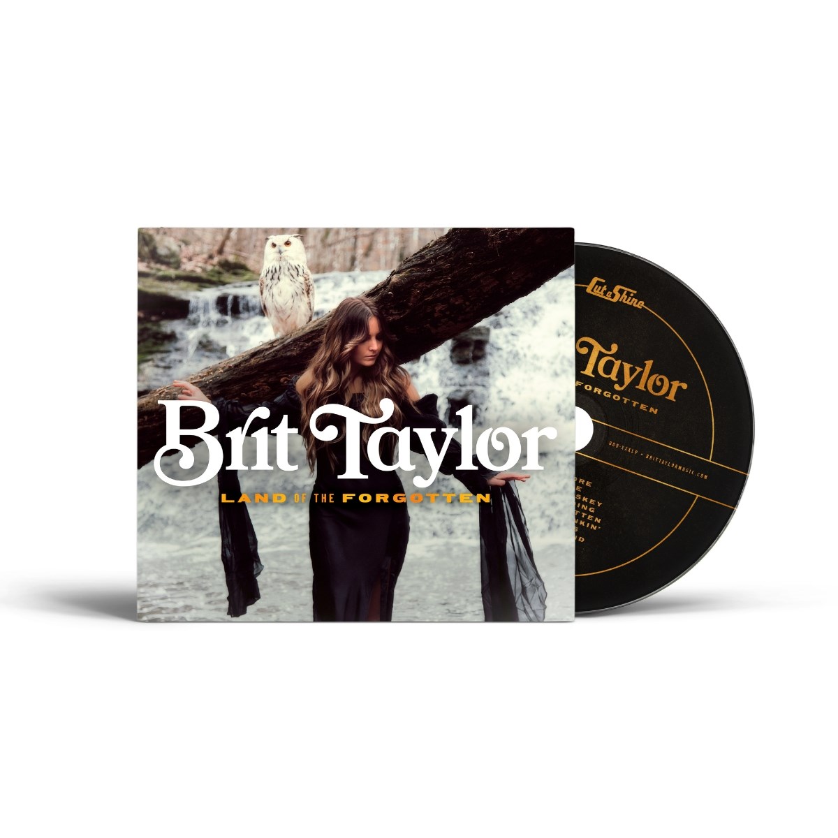 Afbeelding van Brit Taylor - Land Of The Forgotten