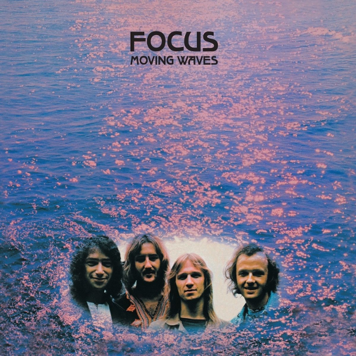 Afbeelding van Focus - Moving Waves