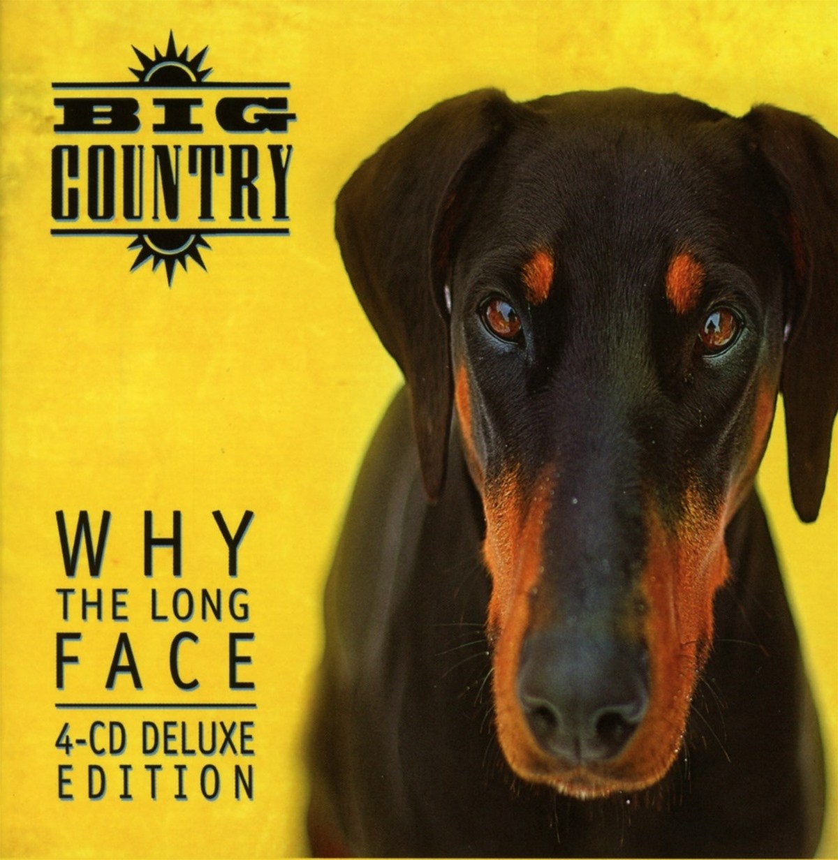 Afbeelding van Big Country - Why The Long Face