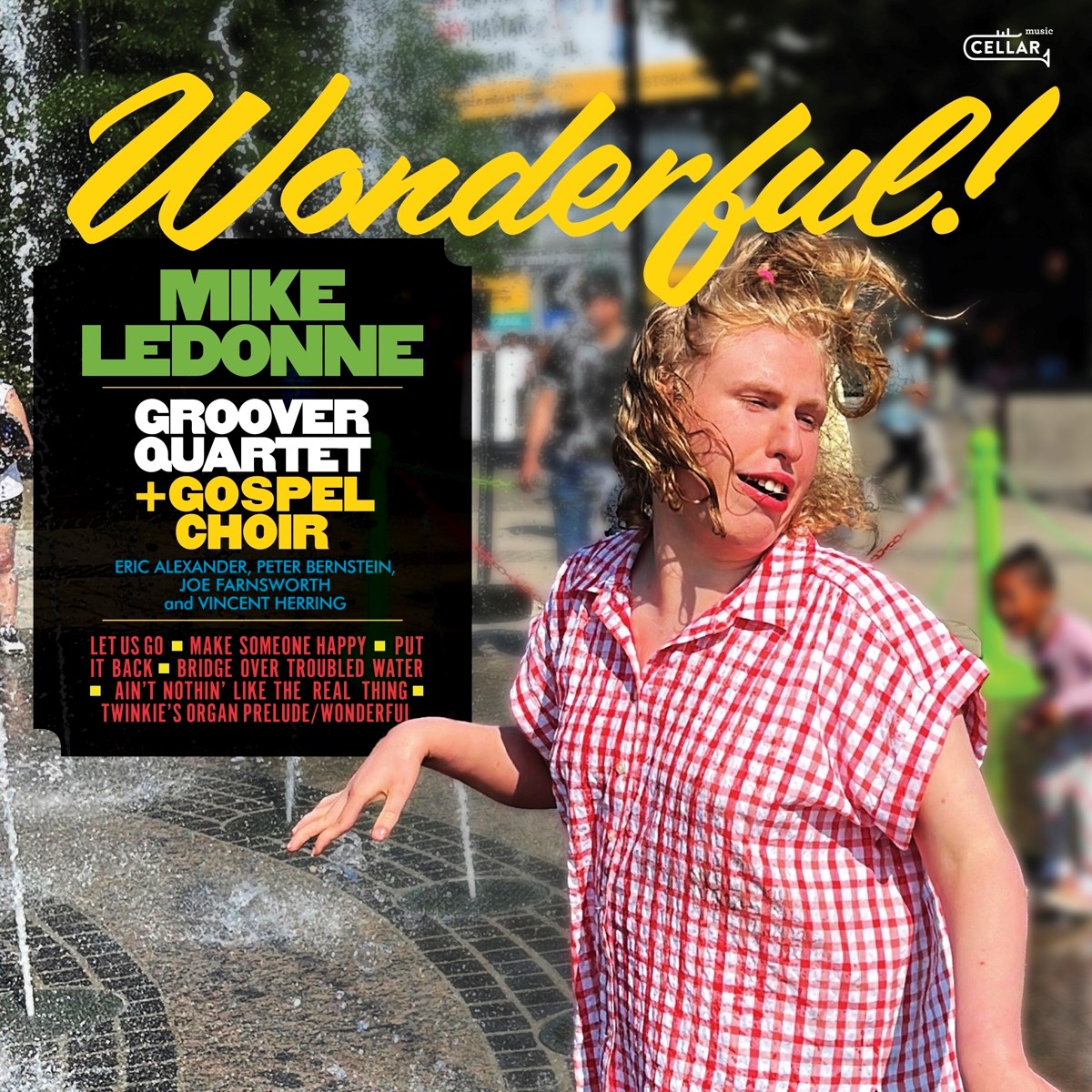 Afbeelding van Wonderful
