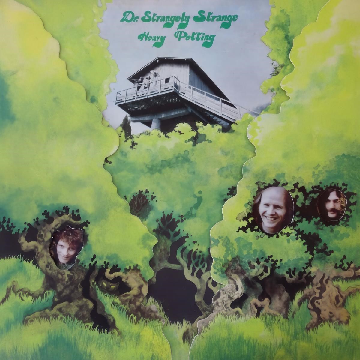 Afbeelding van Dr. Strangely Strange - Heavy Petting