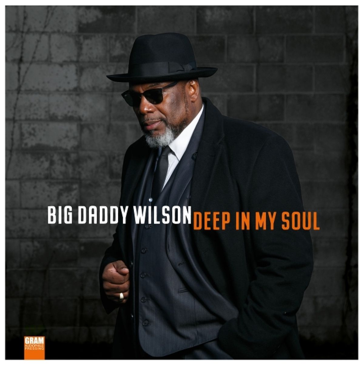 Afbeelding van Big Daddy Wilson - Deep In My Soul