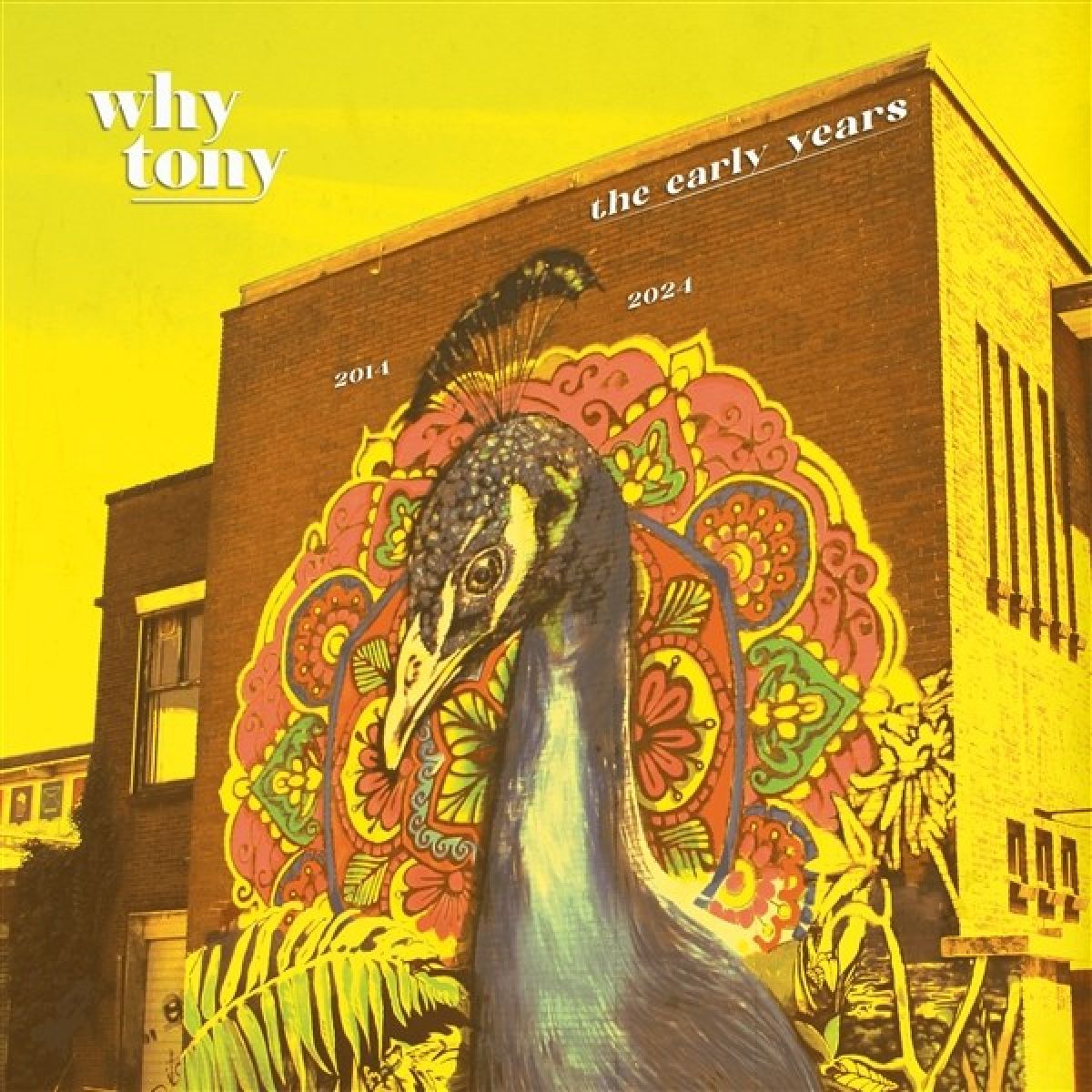 Afbeelding van Why Tony - The Early Years 2014-2024