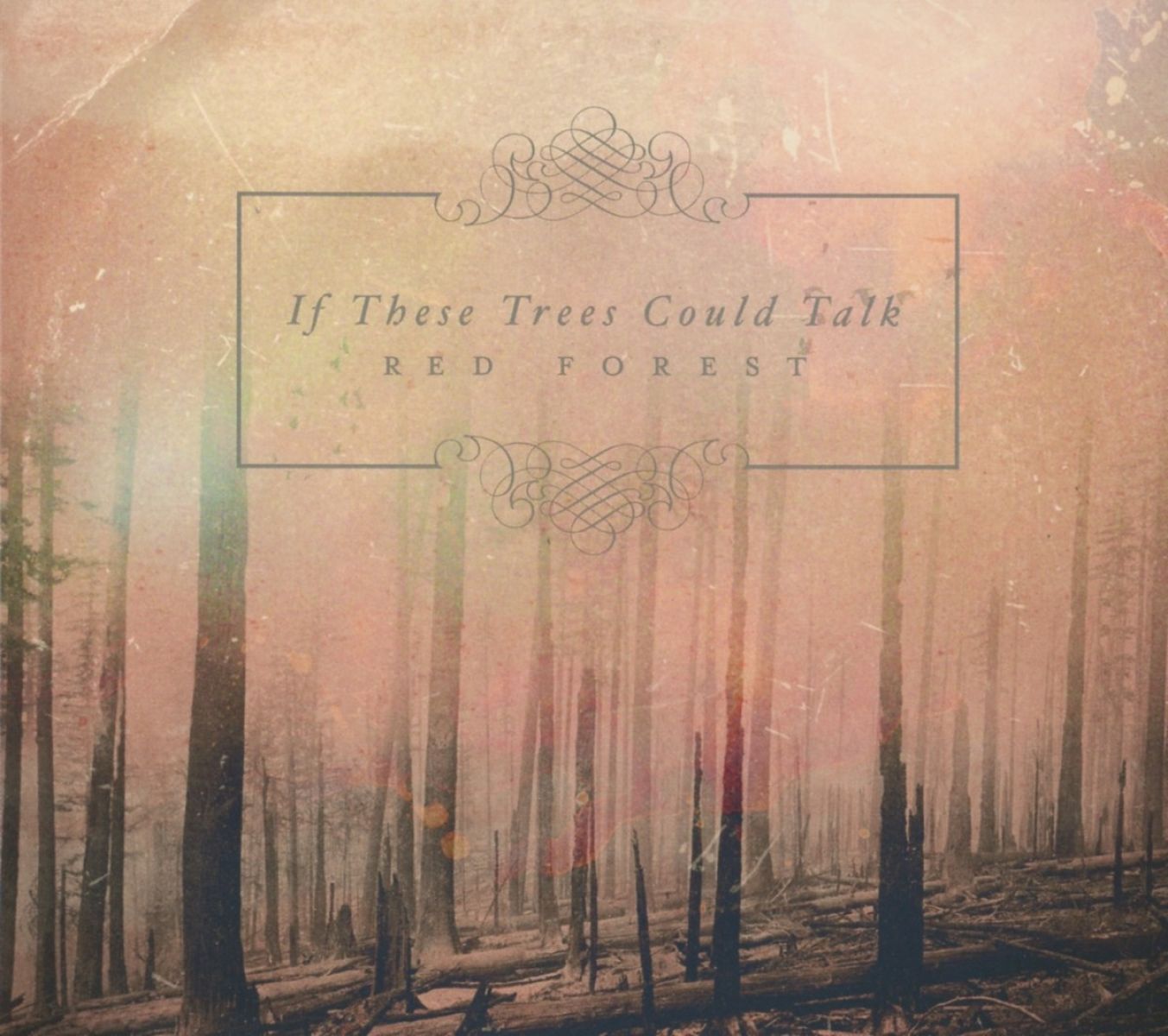 Afbeelding van If These Trees Could Talk - Red Forest
