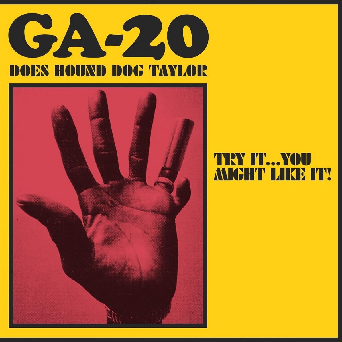 Afbeelding van GA-20 - Does Hound Dog Taylor: Try It...You Might Like It!