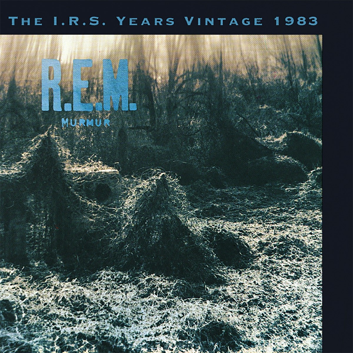 Afbeelding van R.E.M. - Murmur-The I R's Years Vintag