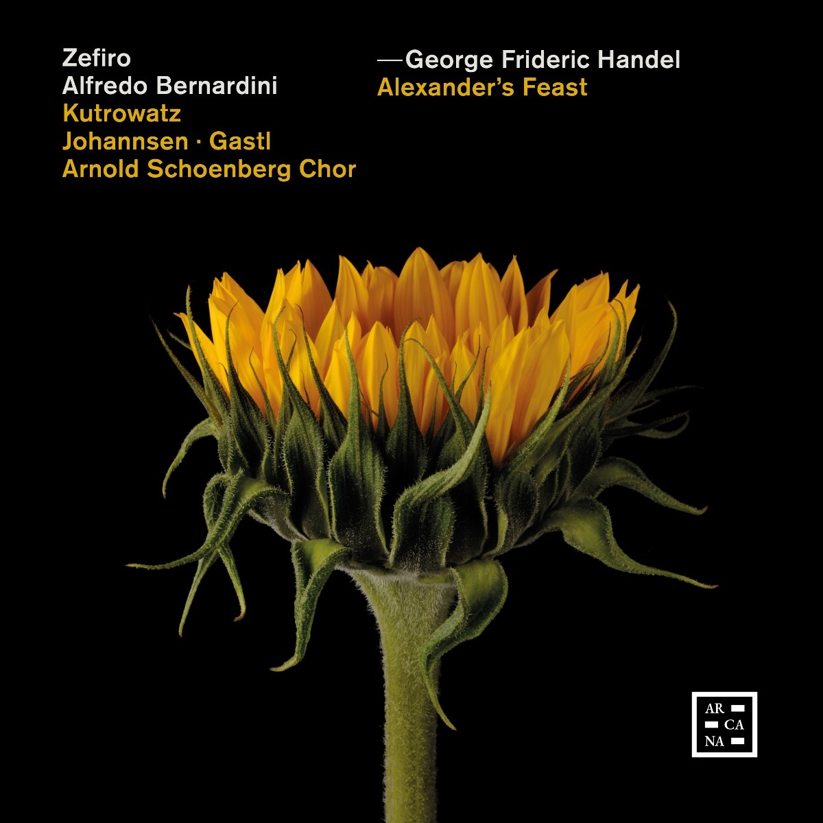 Zefiro, Alfredo Bernardini, Arnold Schoenberg Chor, Miriam Kutrowatz, Daniel Johannsen, Damien Gastl - Handel: Alexander's Feast
