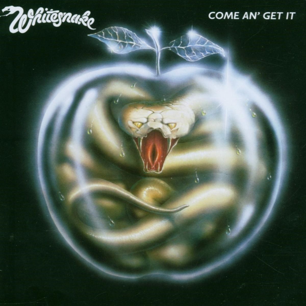 Afbeelding van Whitesnake - Come And Get It
