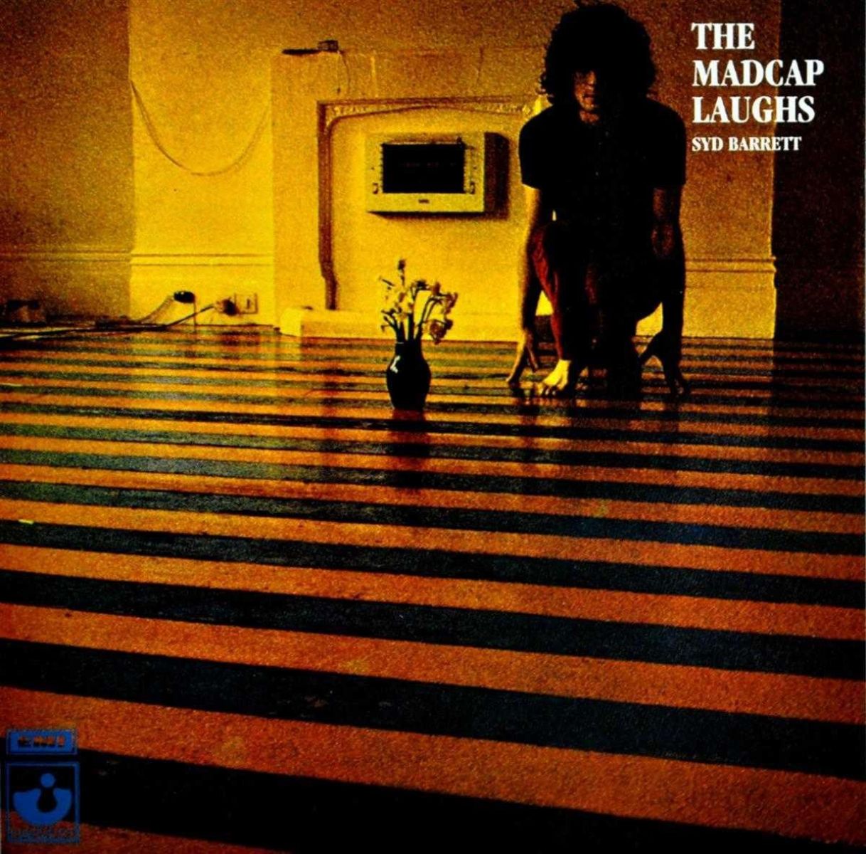 Afbeelding van Syd Barrett - The Madcap Laughs