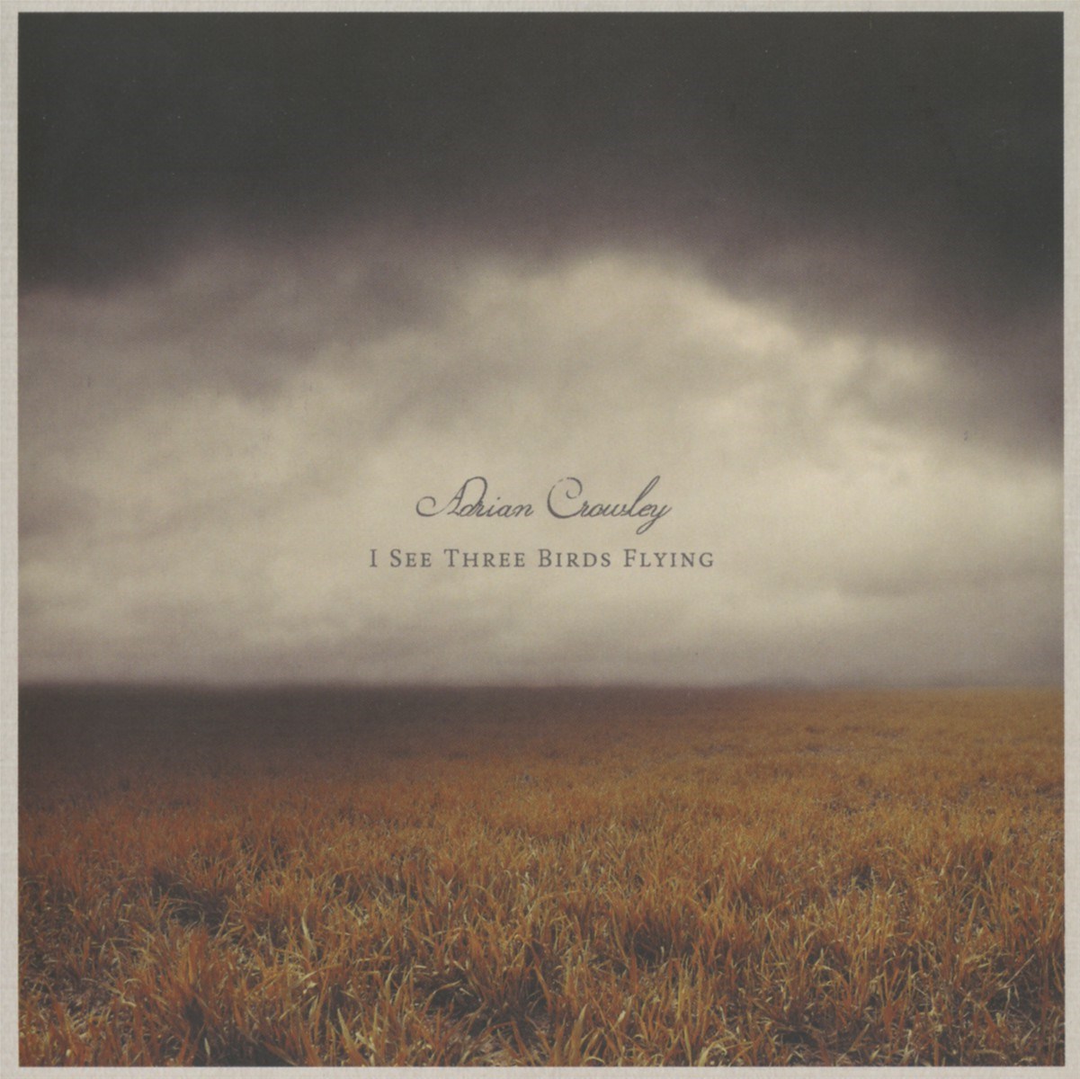 Afbeelding van Adrian Crowley - I See Three Birds Flying