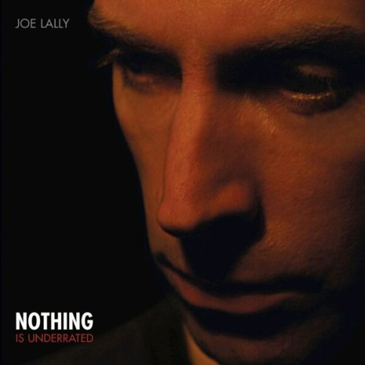 Afbeelding van Joe Lally - Nothing Is Underrated