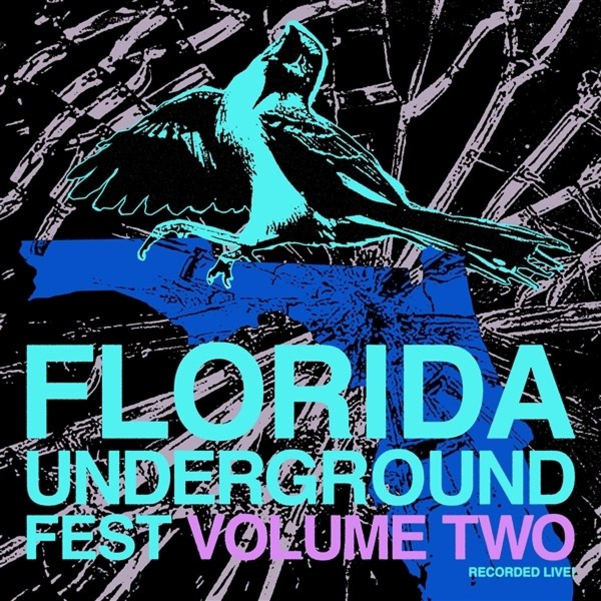 Afbeelding van Various Artists - Florida Underground Fest Vol.2