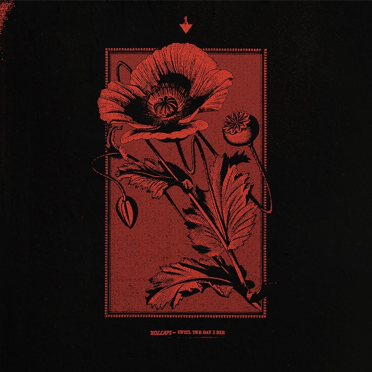 Afbeelding van Kollaps - Until The Day I Die