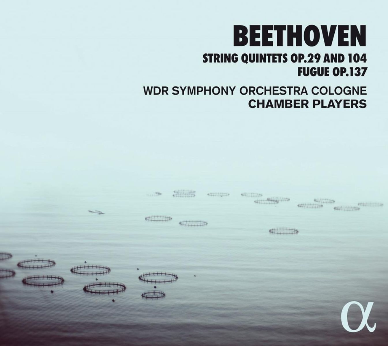 WDR Symphony Orchestra Cologne Chamber Players - Beethoven: String Quintets Op.29 & 104, Fugue Op.137
