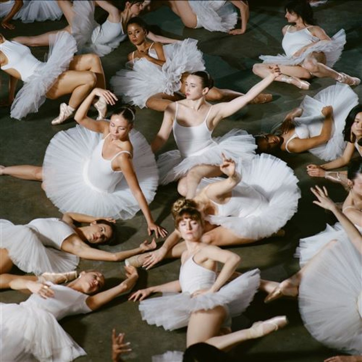 Afbeelding van 50 ballerinas
