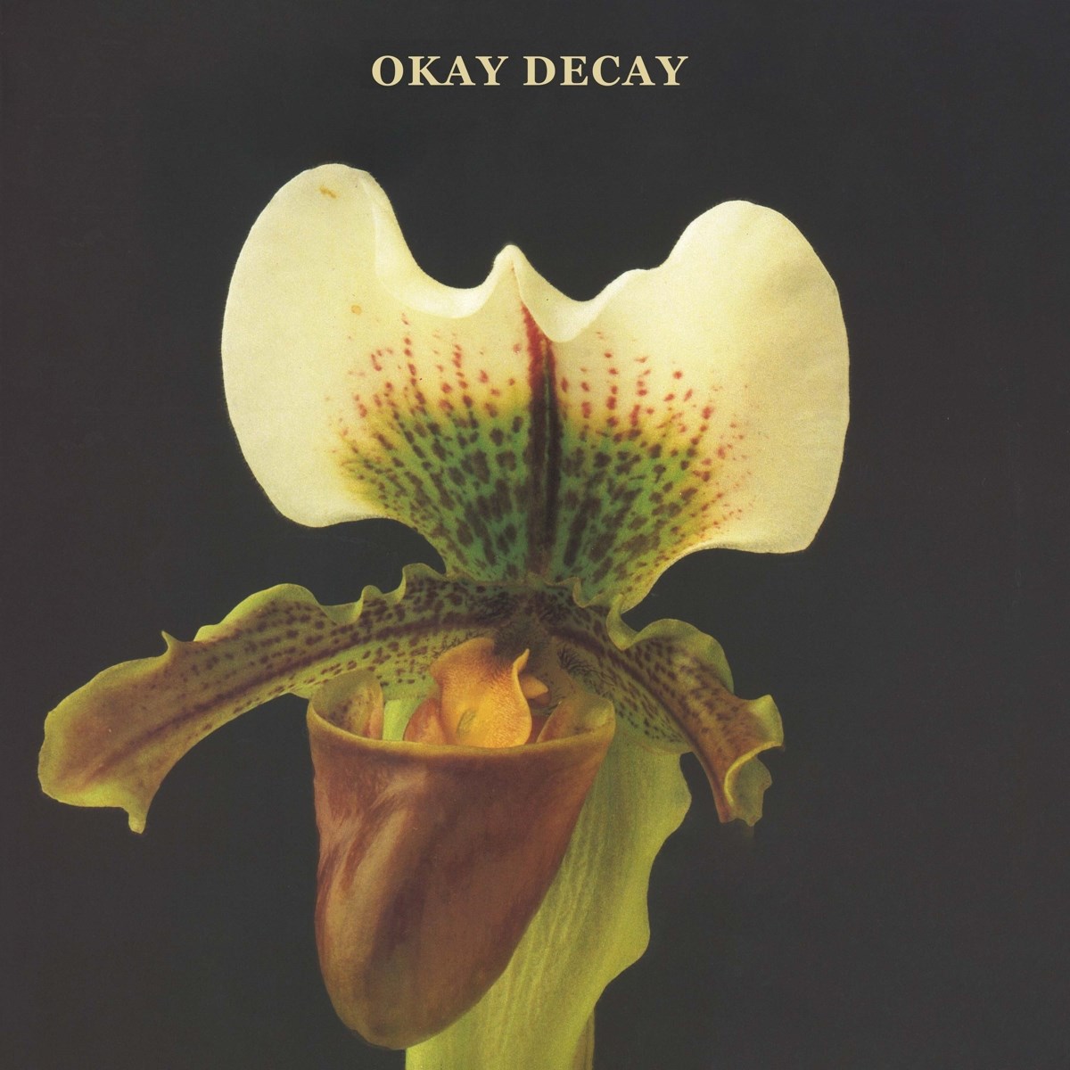 Afbeelding van Okay Decay